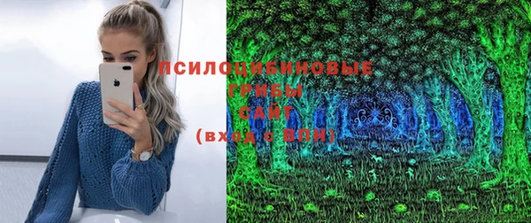 ГАЛЛЮЦИНОГЕННЫЕ ГРИБЫ Алексин