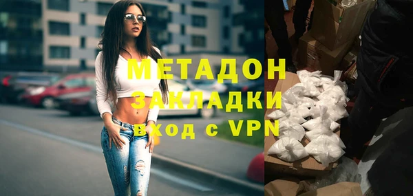 индика Нягань